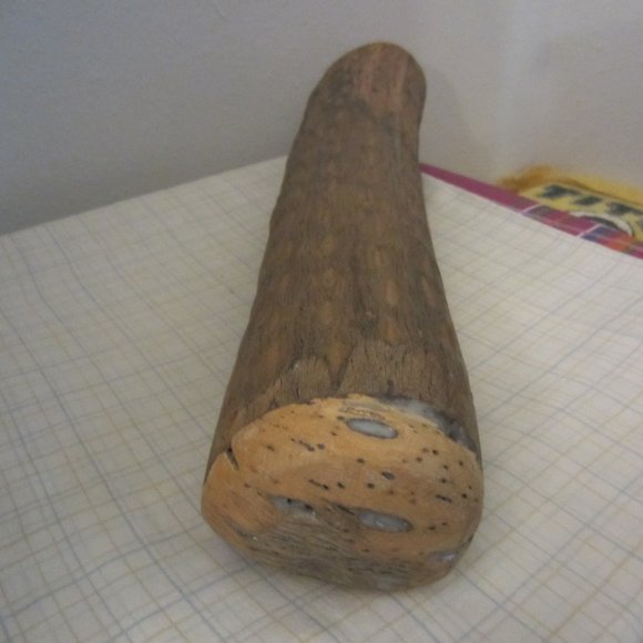 VINTAGE CACTUS HOLLOW-LOG STICK -IT SHAKES INTRUMENT MUSIC - Picture 3 of 7